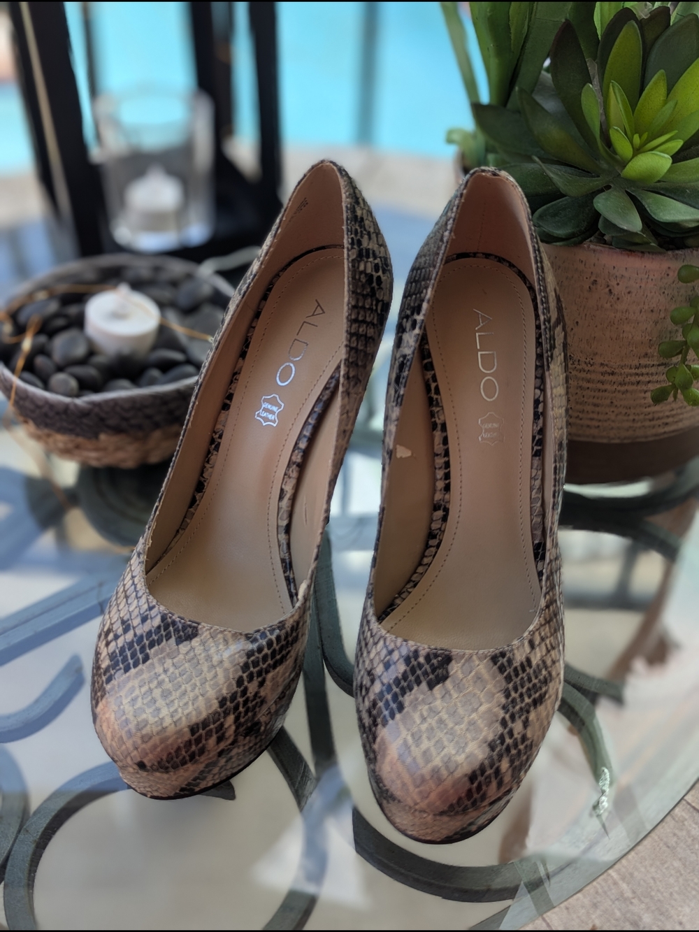 ALDO Snake-Print Platform Pumps in Brown
